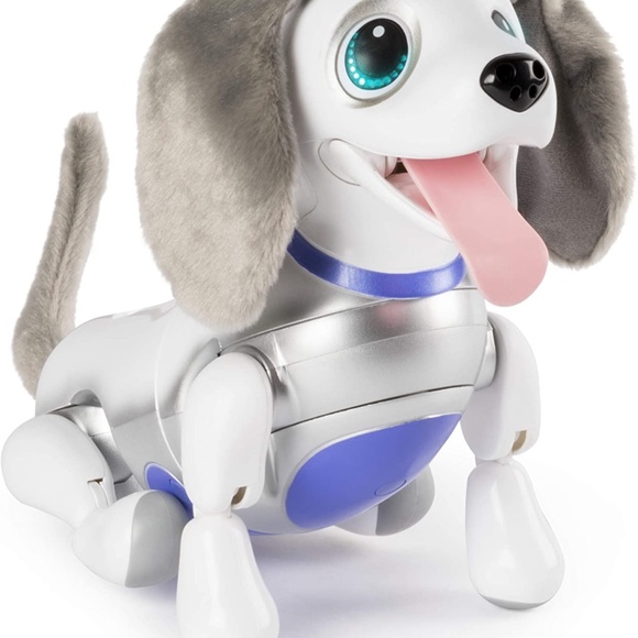 zoomer playful kitty